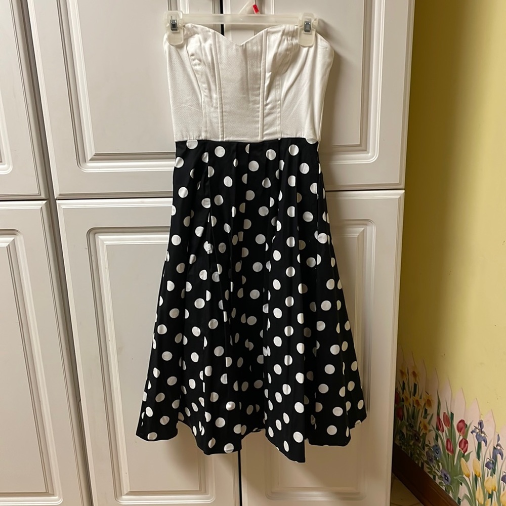 Polkadot Swing Dancing Dress